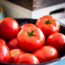 김재식농장 | 김재식 헬스푸드 진짜토마토즙 과채주스라서 안심!