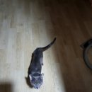 까치산로4길 이미지