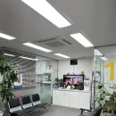 대치동물메디컬센터 | 강남 암컷 고양이 중성화 수술 대치동물메디컬센터 수술금액 수술후기