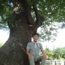동산경로당 이미지