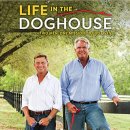 도그-in 하우스 이미지