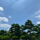수원사 | [수원 여행] 수원사 템플스테이 후기 | 시간표·숙소·법고체험·108배까지