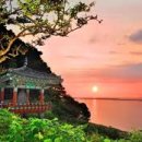 봉동2농장 이미지