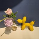 컬러나인한의원 이미지