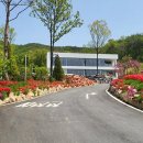 마운틴관광농원 이미지