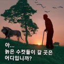 어느 할머니의 남편에 대한 푸념입니다. 이미지