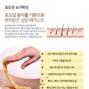 판디스 이미지
