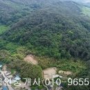 곡성-102 Daum카페