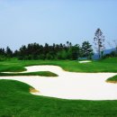 백마카서비스 이미지