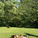 길갈농장 이미지