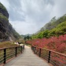 강천산군립공원(구장군폭포) 이미지