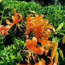 장안사3(쉼터) 이미지