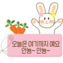 카페302
