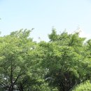 동락공원 자전거대여소(주말_동절기) 이미지