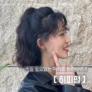 뮤에르 청담 이미지