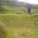 천지인장묘 이미지