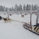 설매농장 이미지