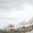 소사벌레포츠타운(인라인스케이트장) 네이버블로그