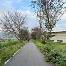 남지자전거길 | 영산강 자전거길 종주 후기, 꿀팁 담양댐 출발 코스