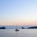 제주늘보의오후 이미지