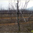 신현묵농장 이미지