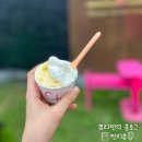 이마트24광주백운점 | "백운 스트리트 푸드존"_광주 야시장 후기