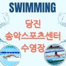 송악문화스포츠센터 수영장 | [당진 수영장 추천] 송악문화스포츠센터 자유수영·강습·요금 총정리