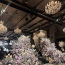 Point - 원형 | 신도림 라마다 웨딩홀 투어 후기 + 2026년 하반기 견적 공유 (비밀댓글)💍