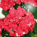 마루바람 이미지