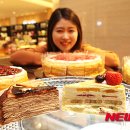 코쿤스토리