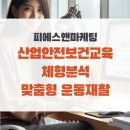 피에스솔루션