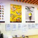 스시판다 이미지