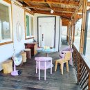 벧엘 양봉 이미지