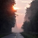 태양을향하여 이미지