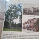 IOC 에서 일제강점기때 일장기를 가슴에 달고 뛰었던 손기정, 남승룡 선수가 89년만에 한국이름을 되찾았다는 너무 반가운 소식입니다 이미지