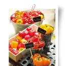 비타민별별 이미지