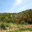 장흥청소년수련원 이미지