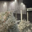 다비다 | 부산웨딩홀 부산블랙홀 다비다웨딩홀 하객후기