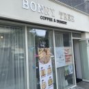 [카페리뷰] 대전 봉명동 바니트리(BONNY TREE) 커피 및 샌드위치 맛집 솔직 후기