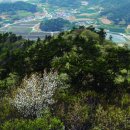 임자 화산단 네이버블로그