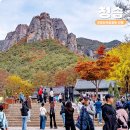 월외 | 경북 청송 가볼만한곳 청송주왕산국립공원 용추폭포 가을 단풍 구경 여행