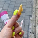 리수스과수원 하단점 이미지