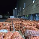 가정1-01-014 이미지