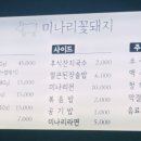 미나리꽃돼지