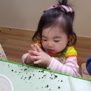 나투라힐링하우스