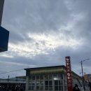 동해복어 | 동해 묵호항 수산시장 줄가자미, 복어 활어회 가격정보, 포장후기