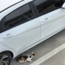 남해지몽 이미지