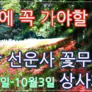 청죽교회 이미지