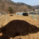 여주계분