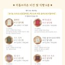 리틀브라운